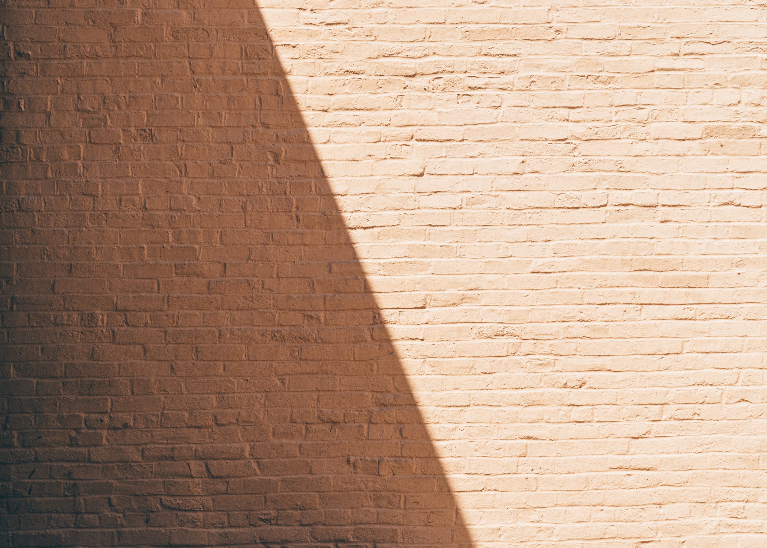 brick wall with a shadow